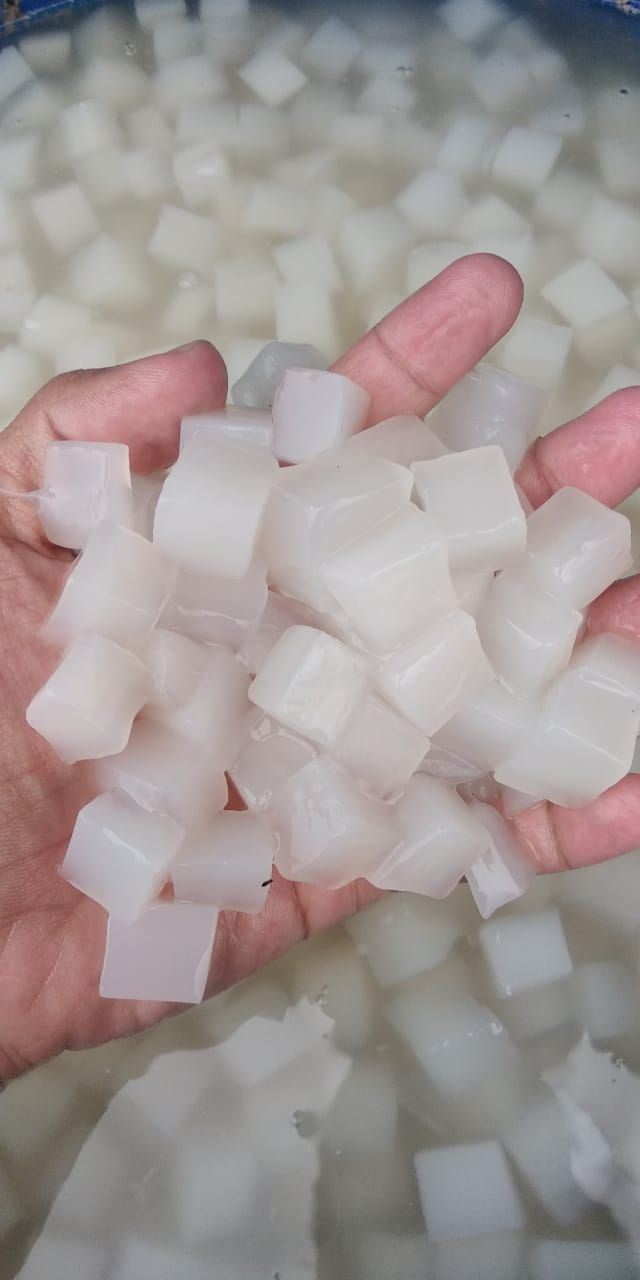 NATA DE COCO